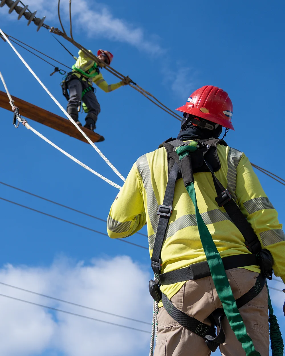 lineman wearing safety harnesses